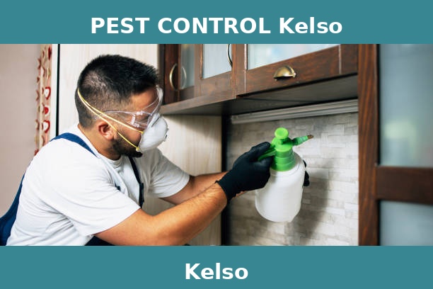 PEST CONTROL Kelso